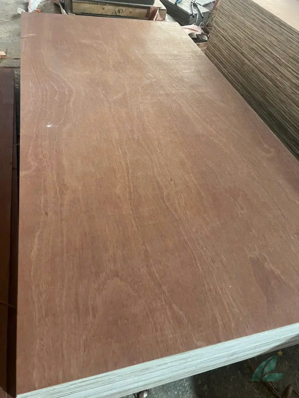 Gurjan plywood Vietnam premium export grade hcply 059
