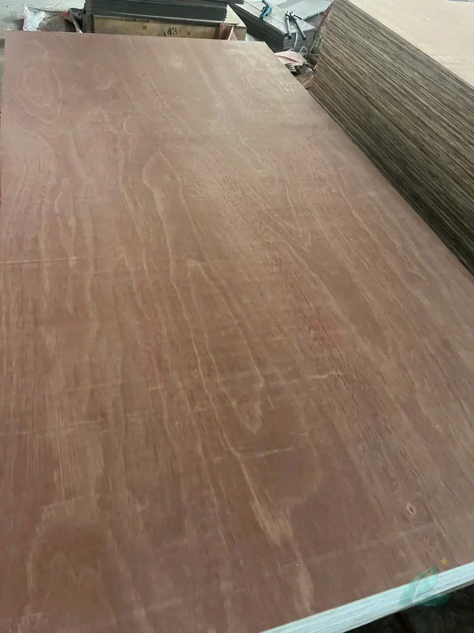 Vietnam plywood for furniture grade birch face sanded surface HCPLY factory export