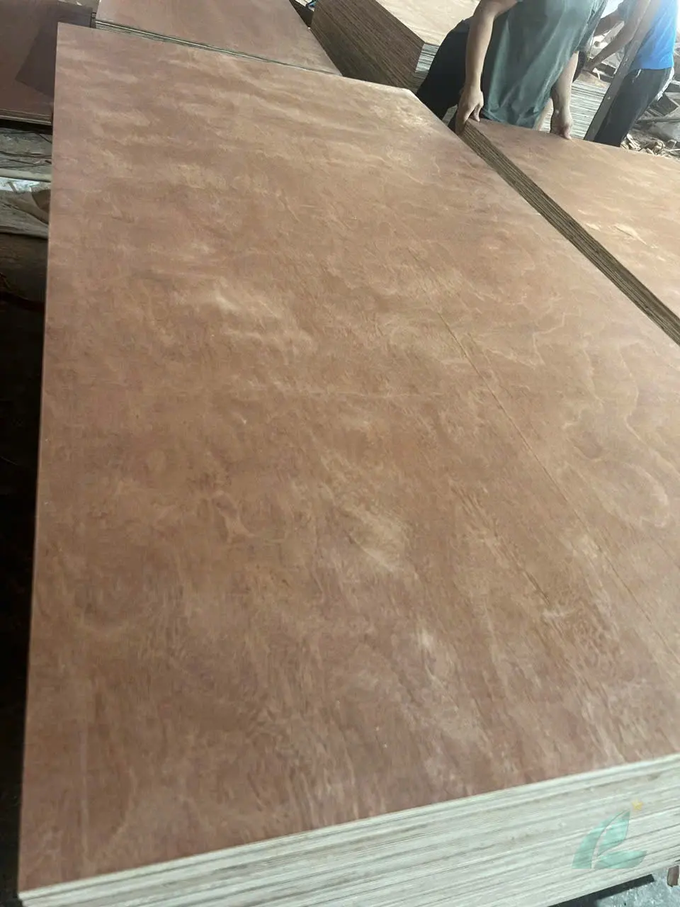 Gurjan plywood Vietnam premium export grade hcply 061