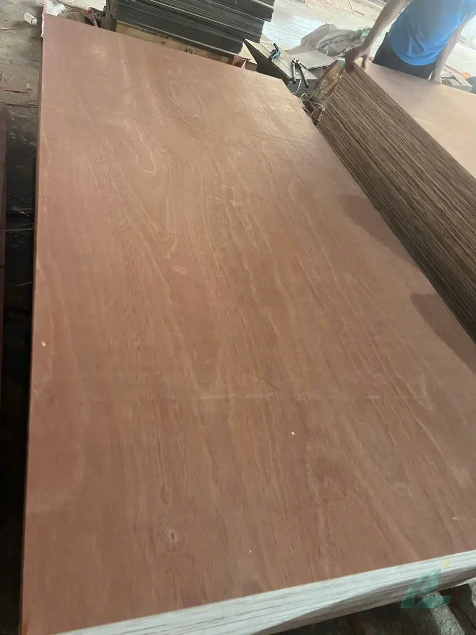 Gurjan plywood Vietnam premium export grade hcply 062