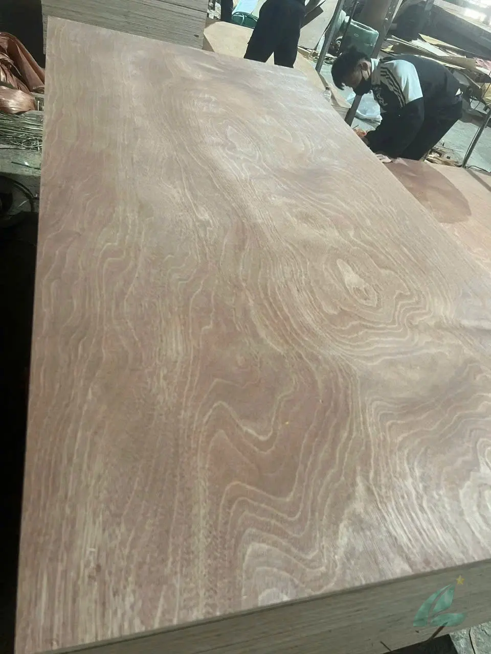 Gurjan plywood Vietnam premium export grade hcply 063