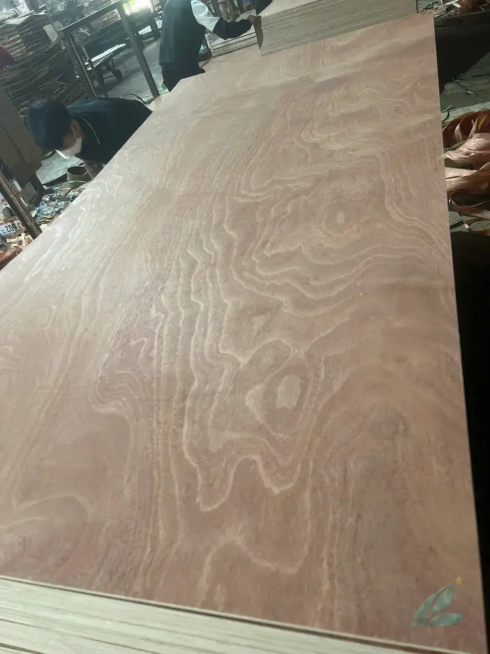 Gurjan plywood Vietnam premium export grade hcply 064