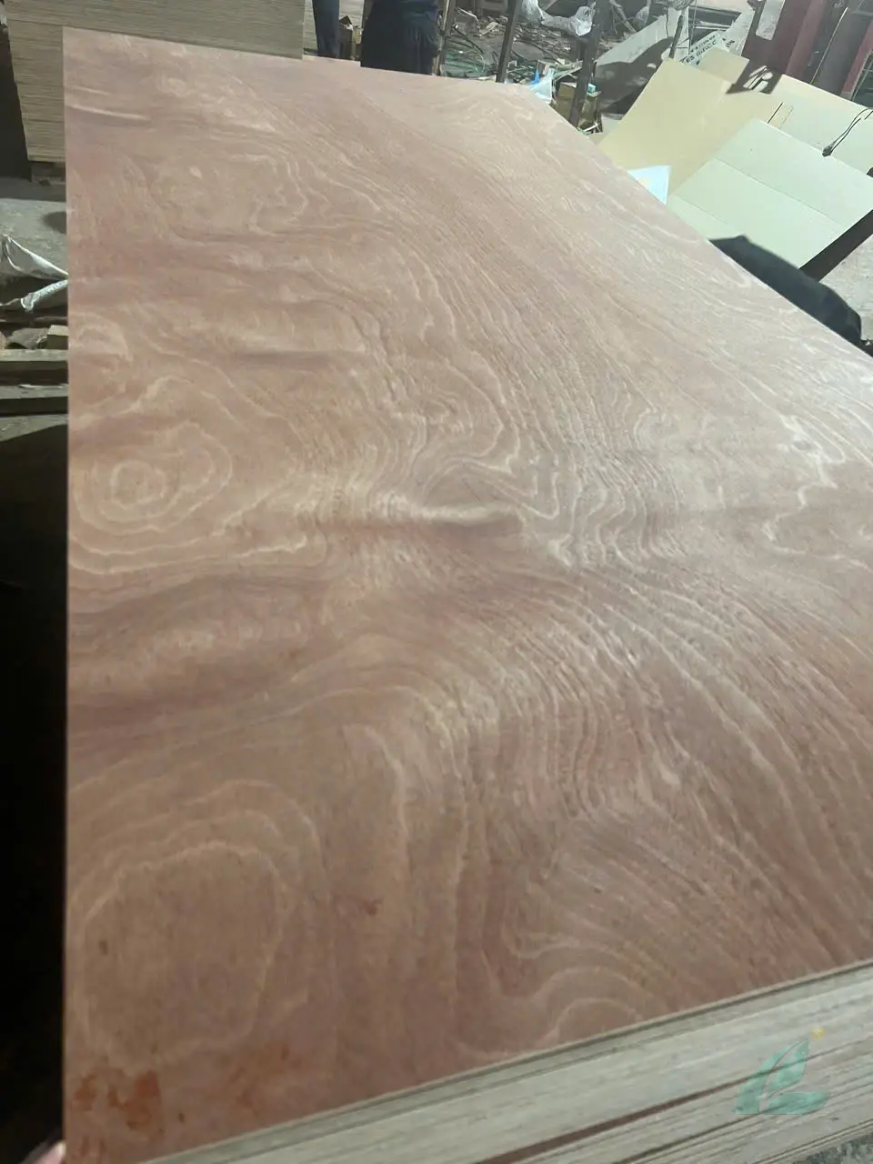 Gurjan plywood Vietnam premium export grade hcply 065