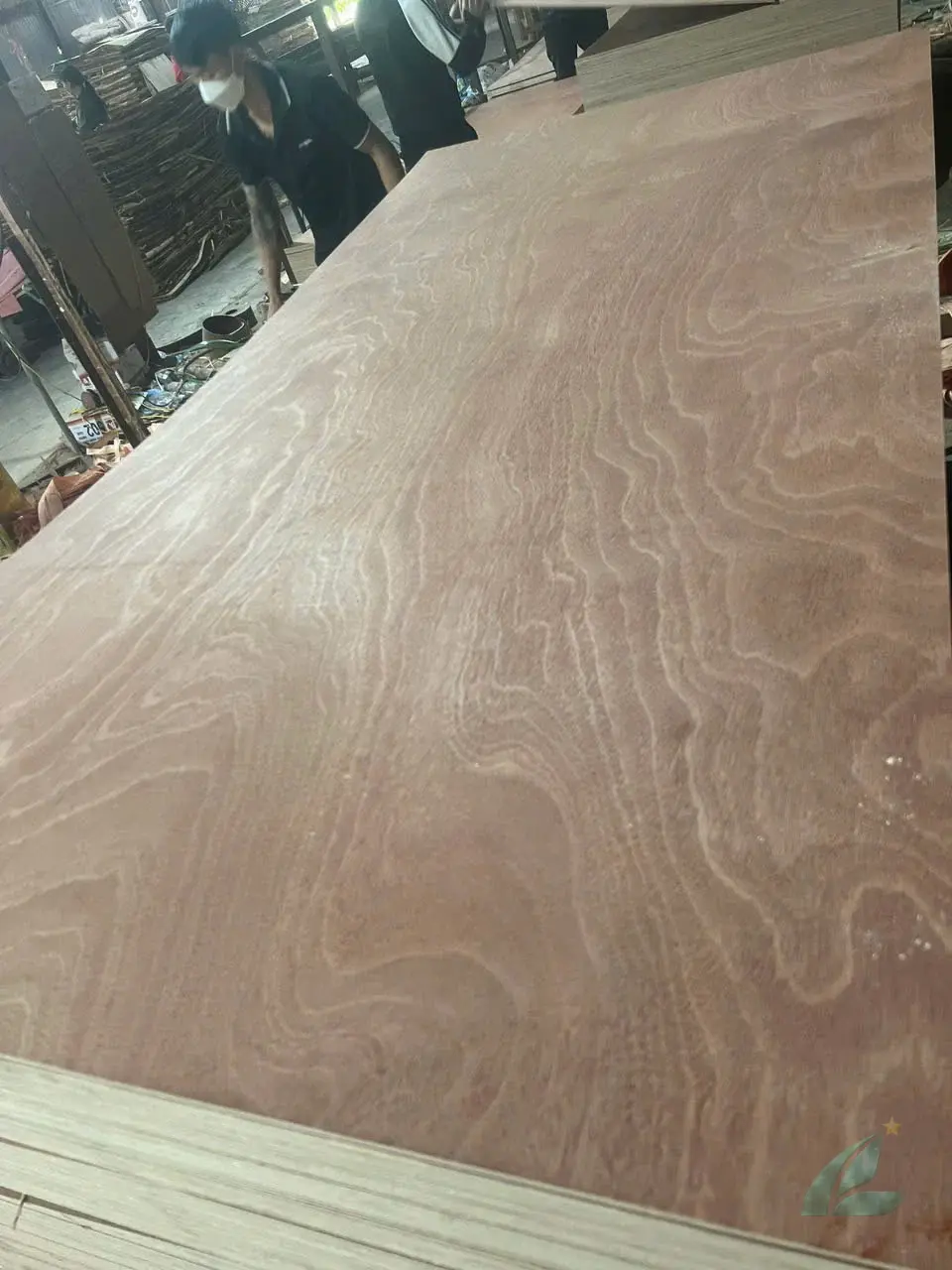 Gurjan plywood Vietnam premium export grade hcply 067