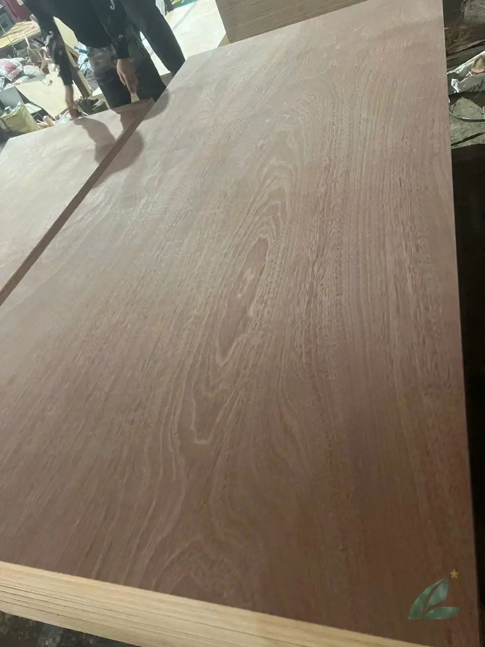 Gurjan plywood Vietnam premium export grade hcply 068