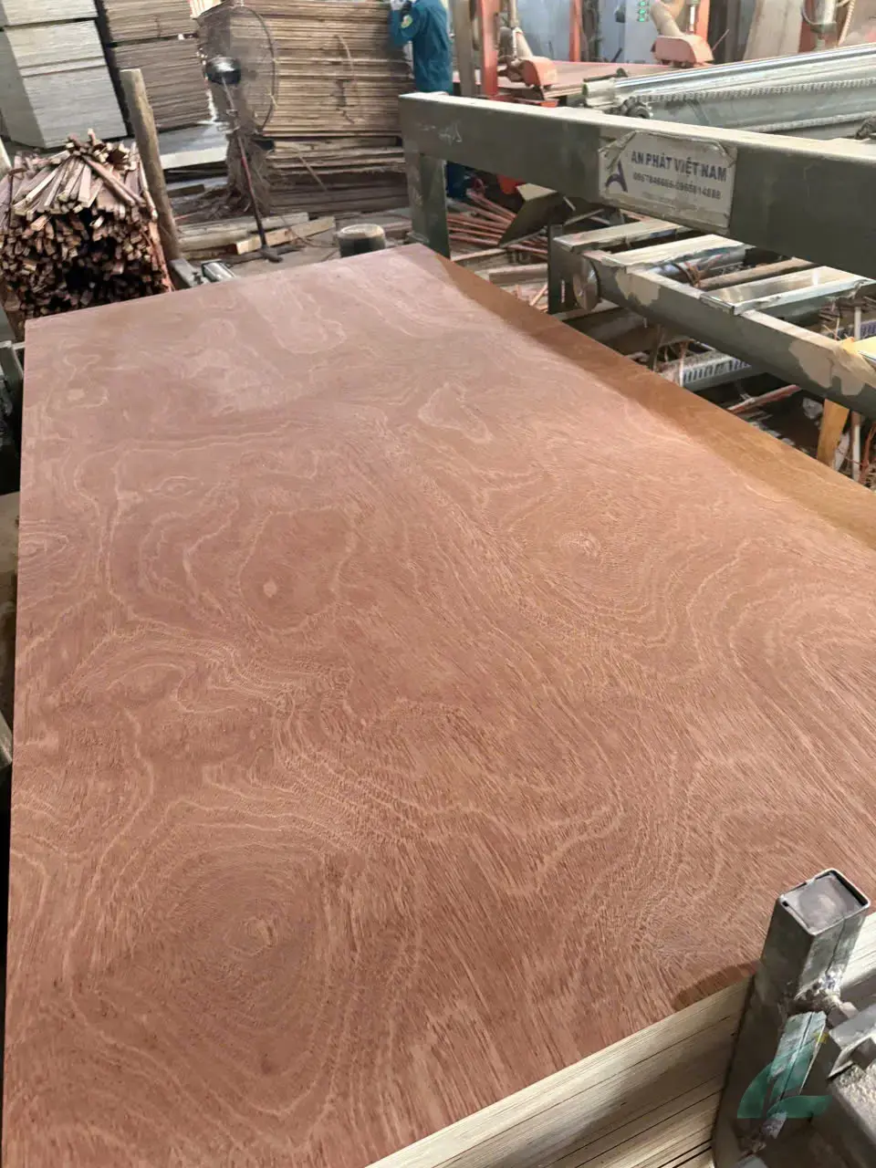 Gurjan Plywood Vietnam — HCPLY
