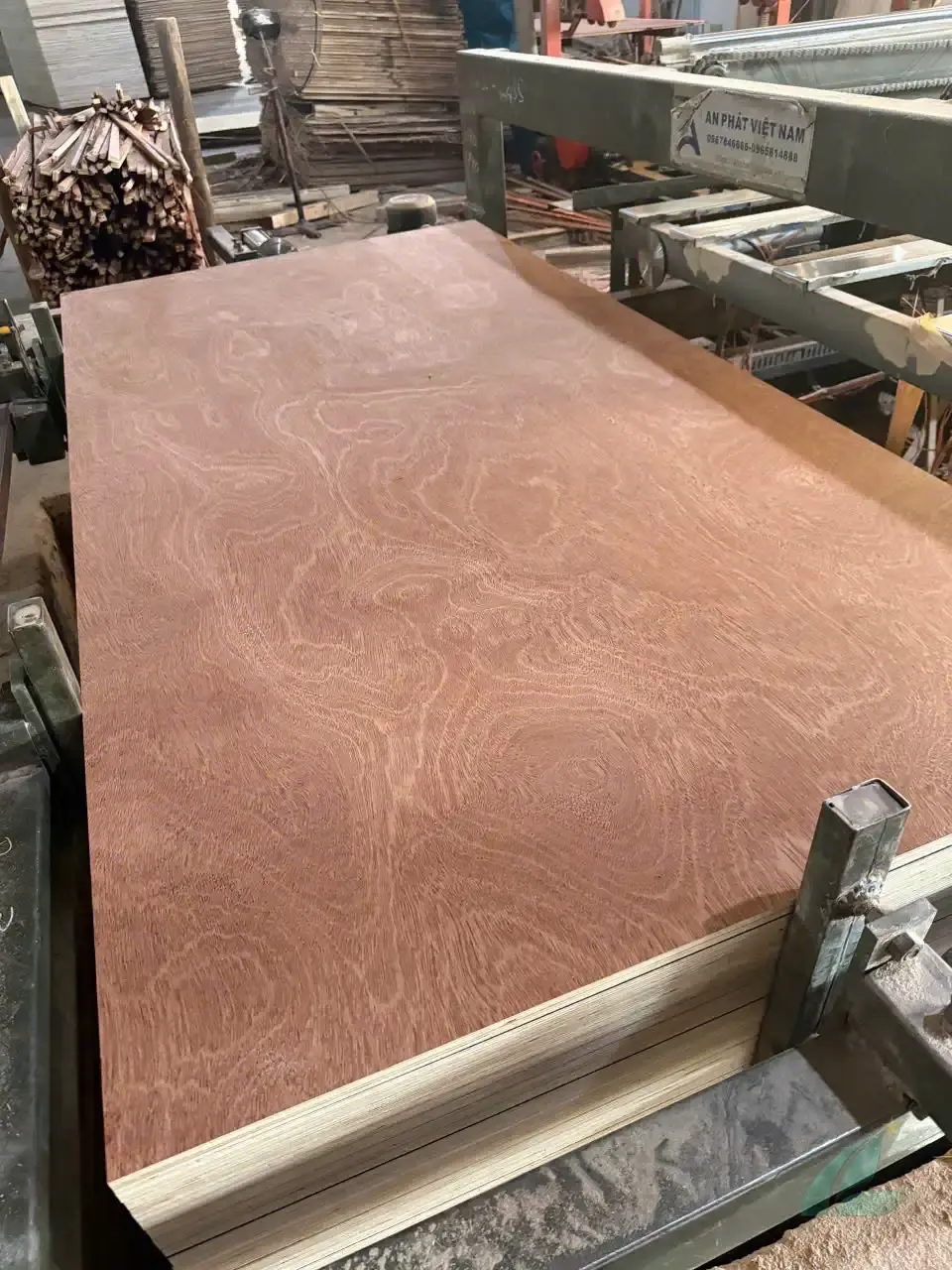 Gurjan plywood Vietnam premium export grade hcply 070