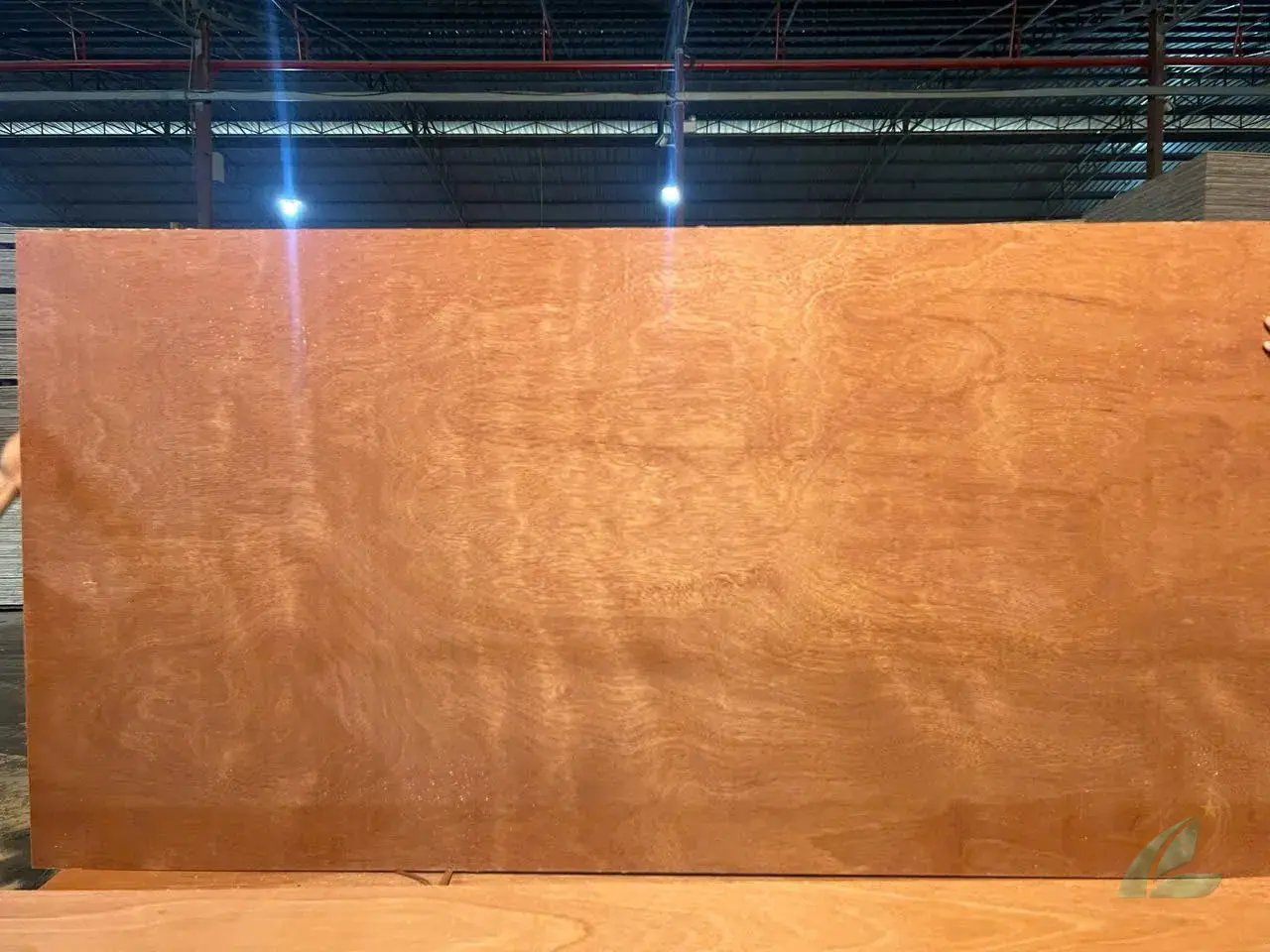 Gurjan plywood Vietnam premium export grade hcply 071