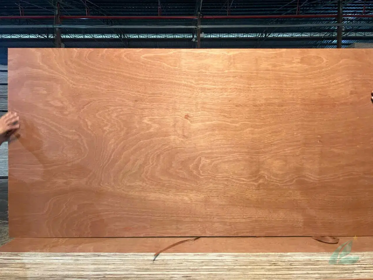 Gurjan plywood Vietnam premium export grade hcply 072