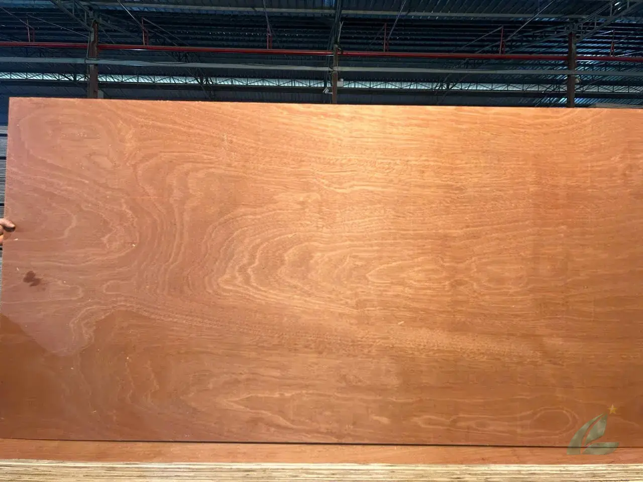 Gurjan plywood Vietnam premium export grade hcply 073