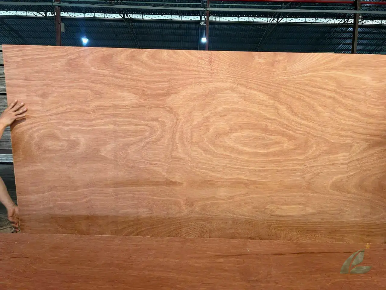 Gurjan plywood Vietnam premium export grade hcply 074