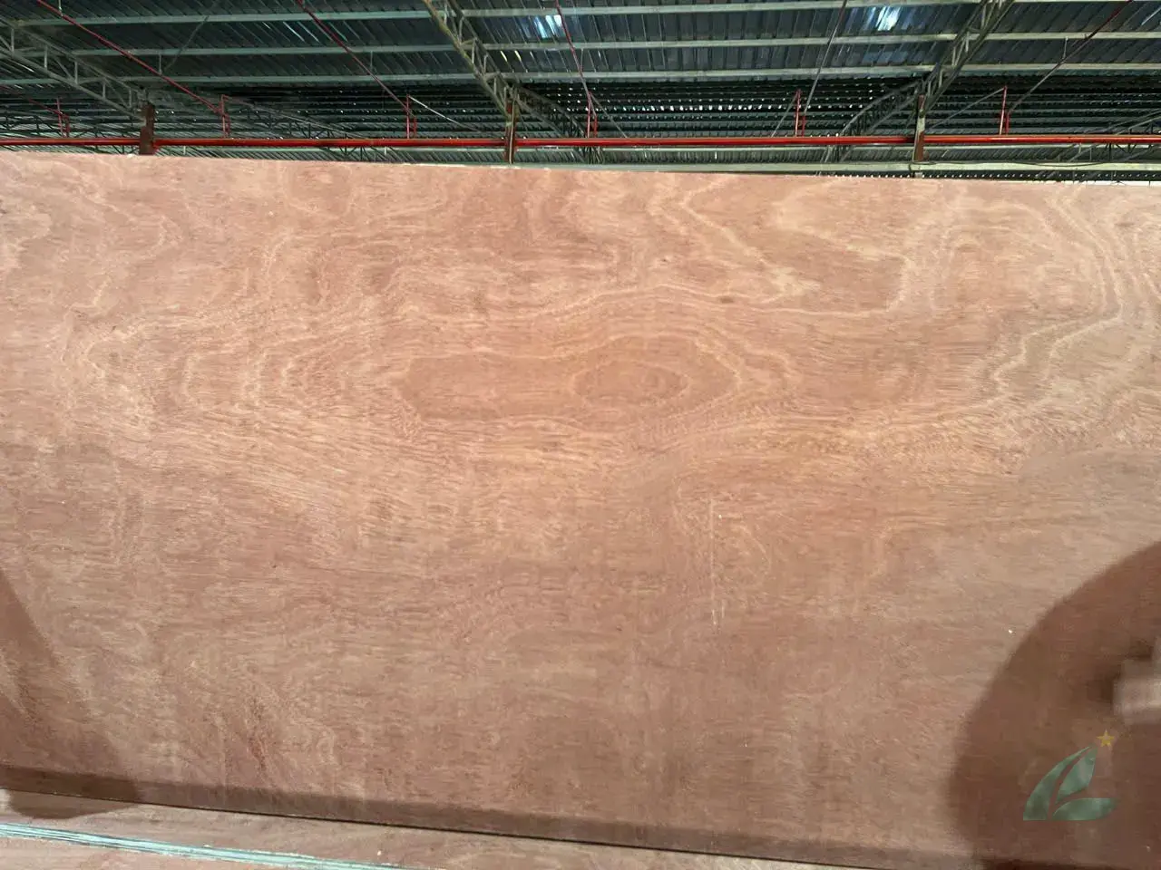 Gurjan plywood Vietnam premium export grade hcply 076