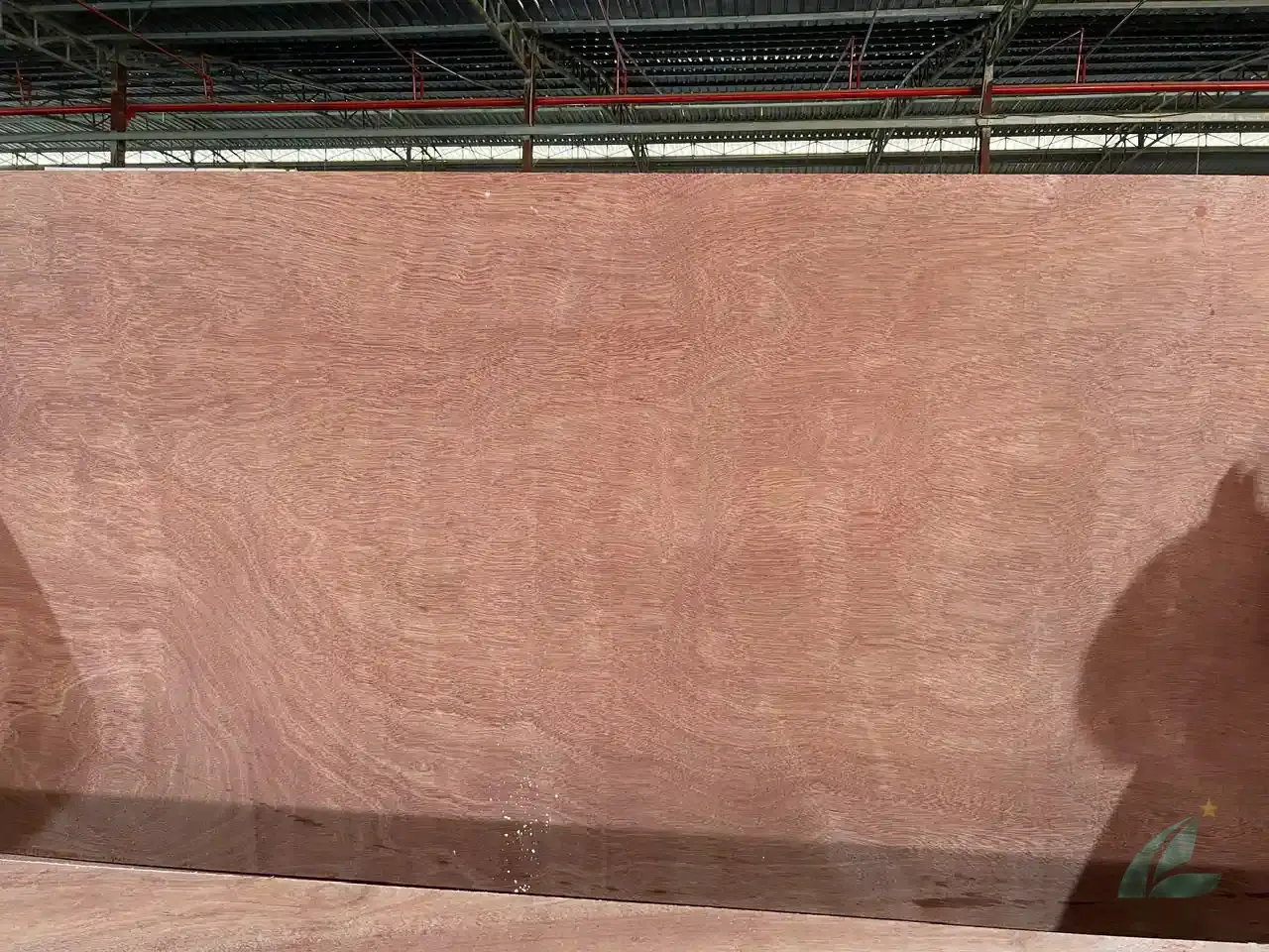 Gurjan plywood Vietnam premium export grade hcply 077