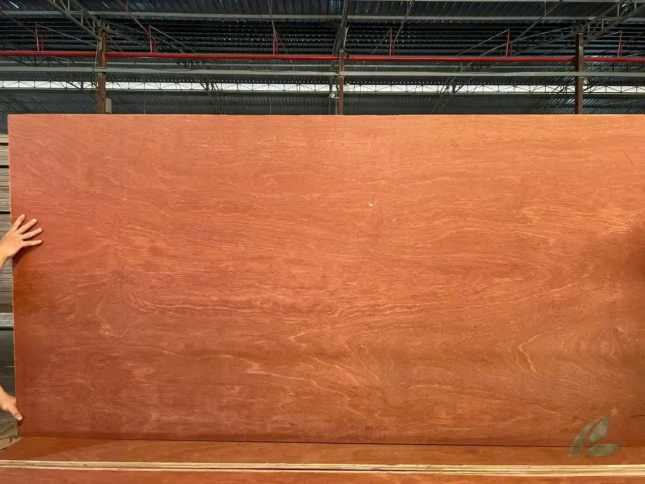 Gurjan plywood Vietnam premium export grade hcply 078