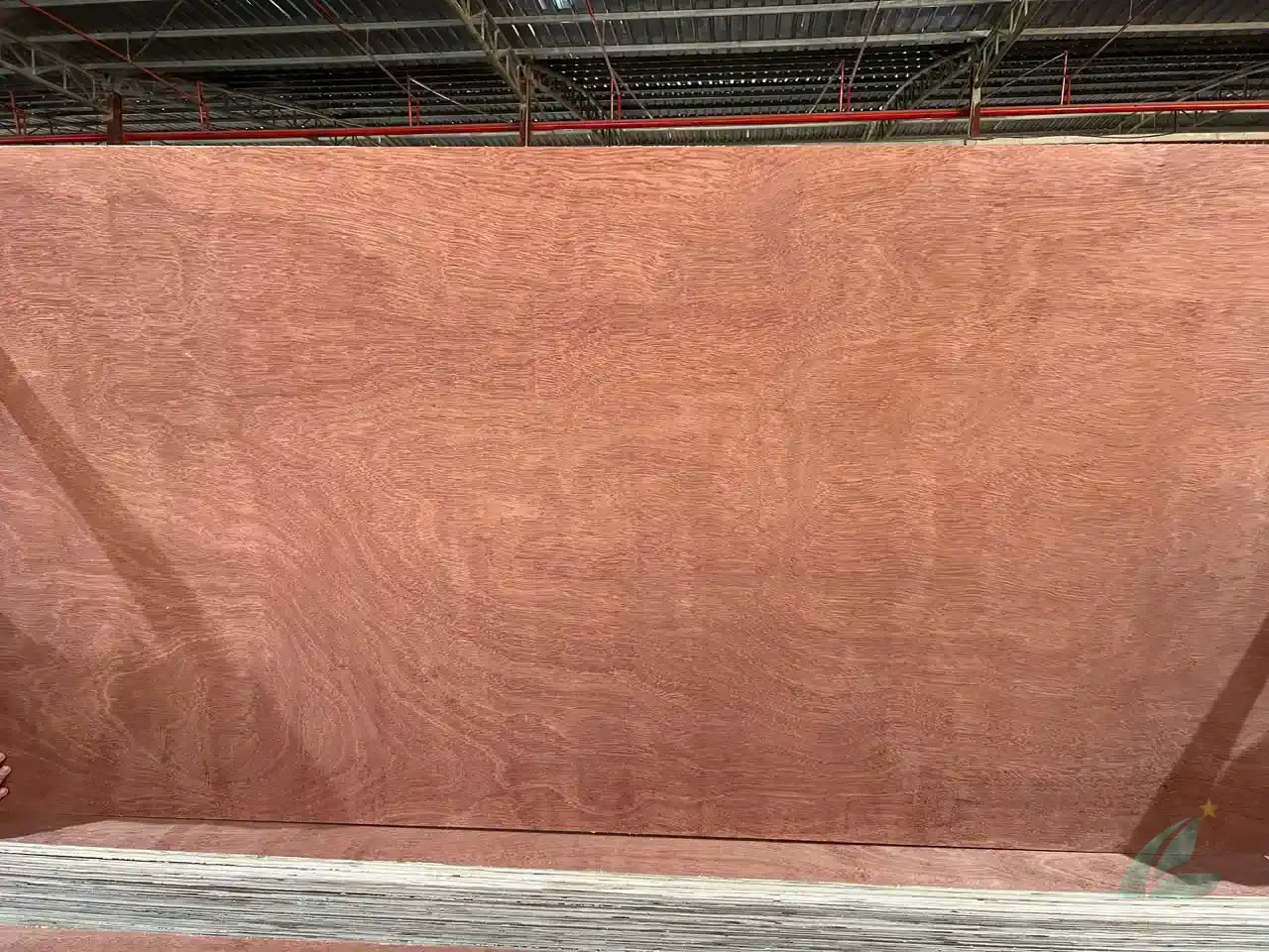 Gurjan plywood Vietnam premium export grade hcply 080