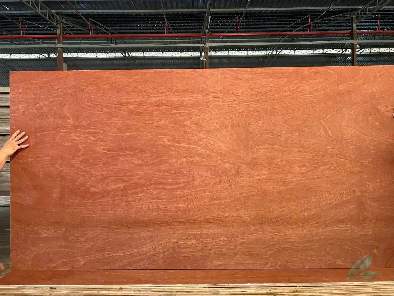 Gurjan plywood Vietnam premium export grade hcply 081