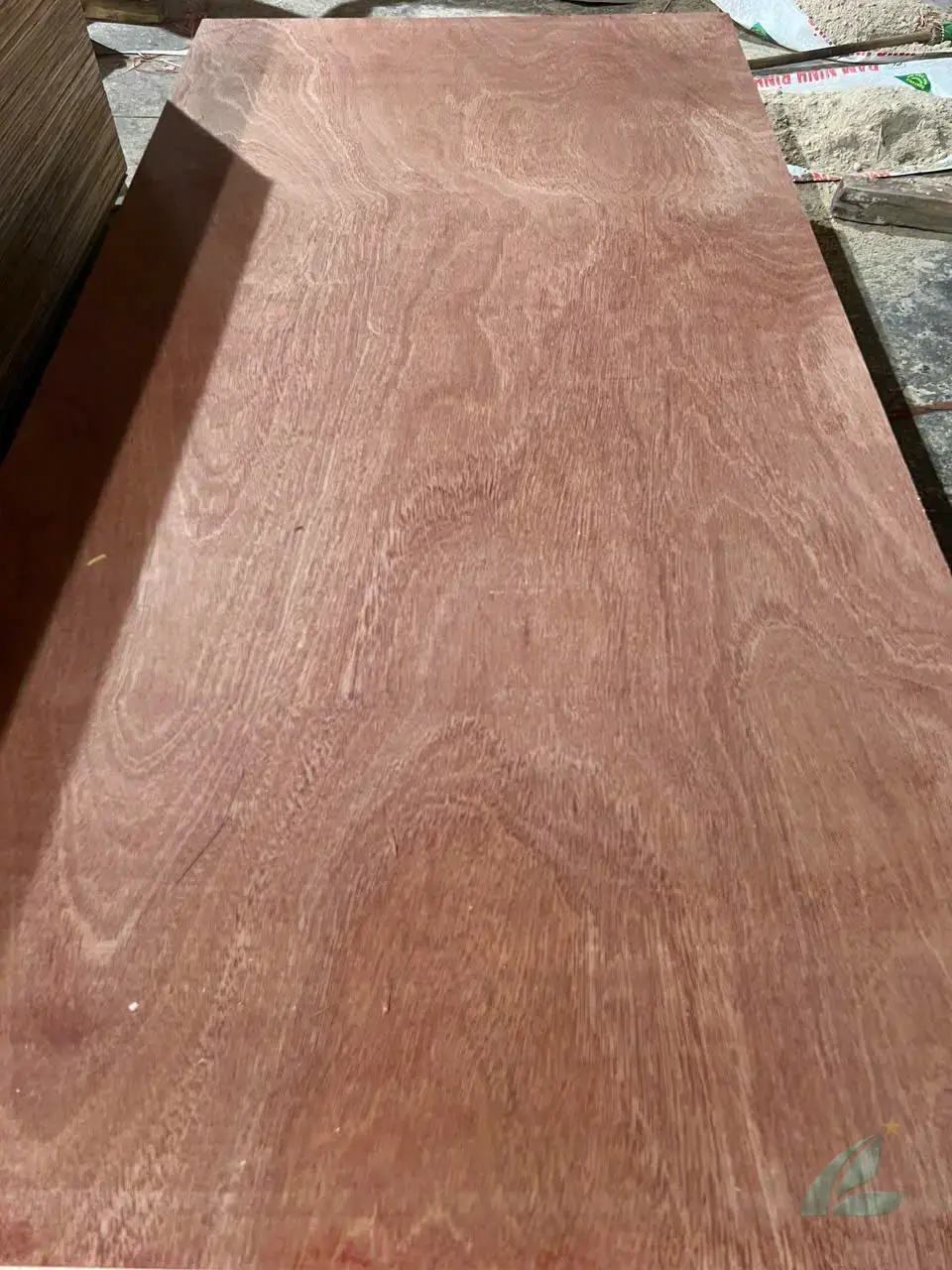 Gurjan plywood Vietnam premium export grade hcply 082