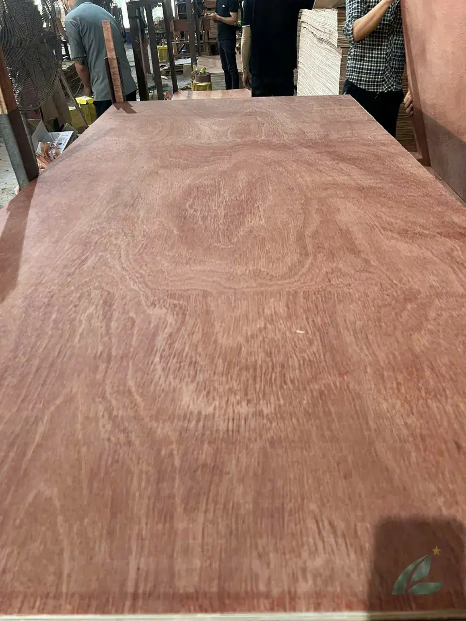 Gurjan plywood Vietnam premium export grade hcply 083