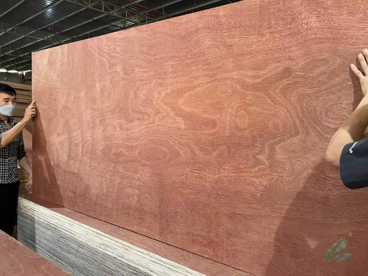 Gurjan plywood Vietnam premium export grade hcply 085