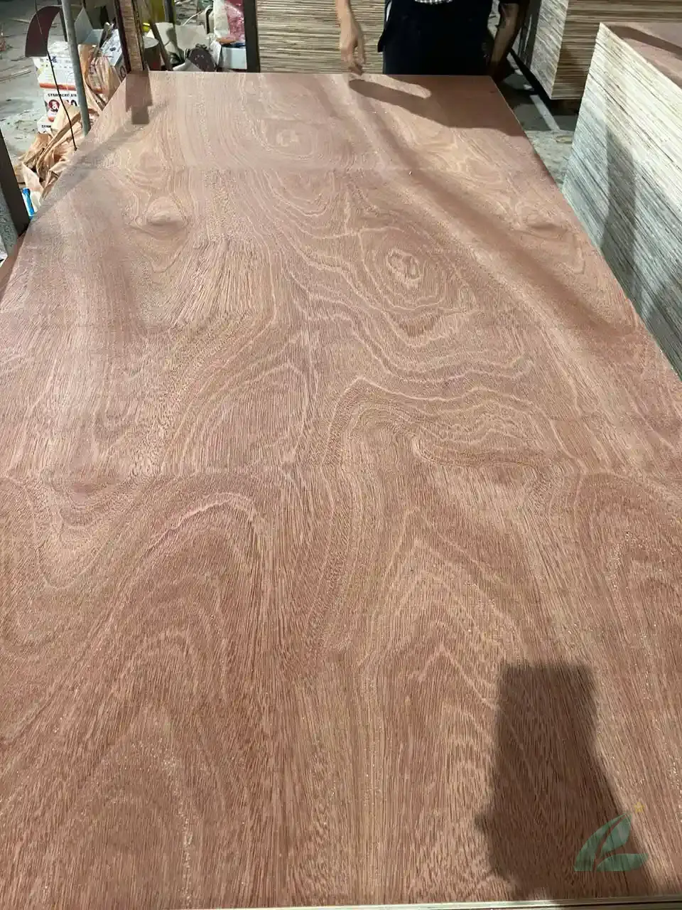 Gurjan plywood Vietnam premium export grade hcply 086