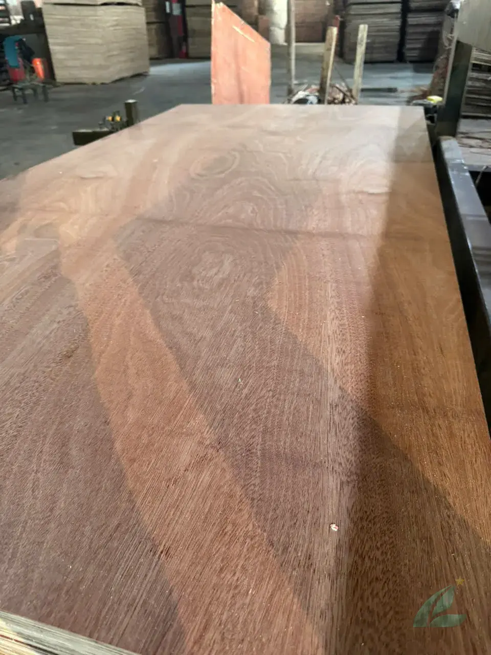 Gurjan plywood Vietnam premium grade export furniture India market HCPLY