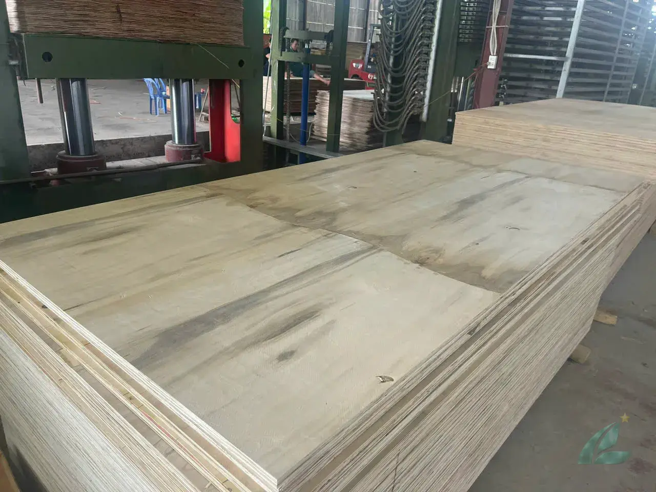Matt plywood unfaced substrate Vietnam export HCPLY lamination grade