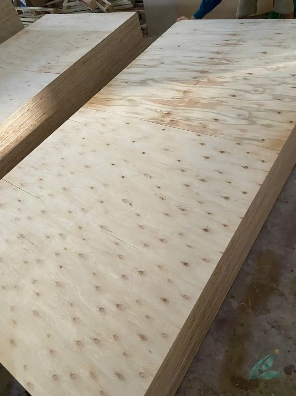 Matt plywood Vietnam export quality hcply 008