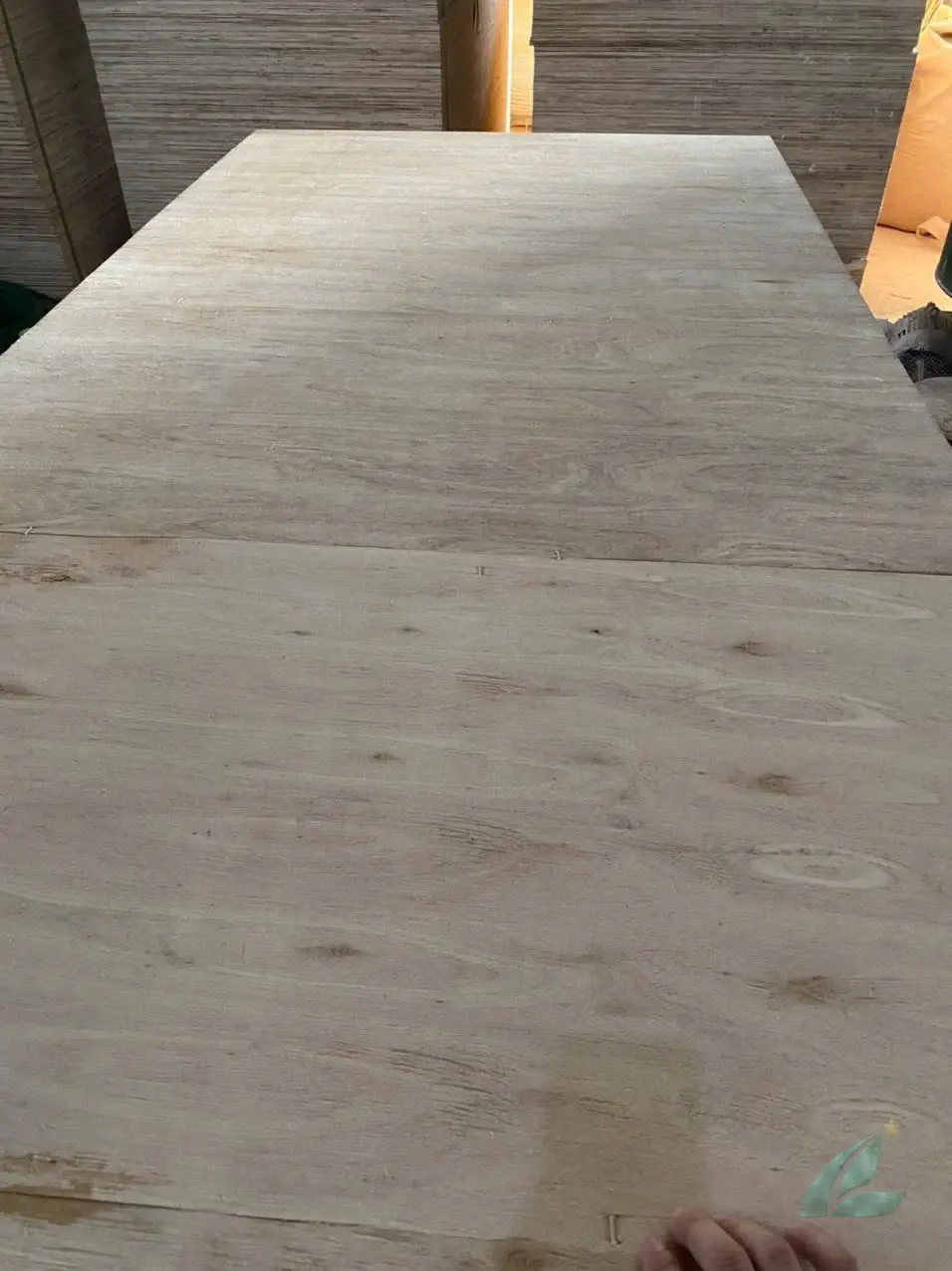 Matt plywood Vietnam export quality hcply 011