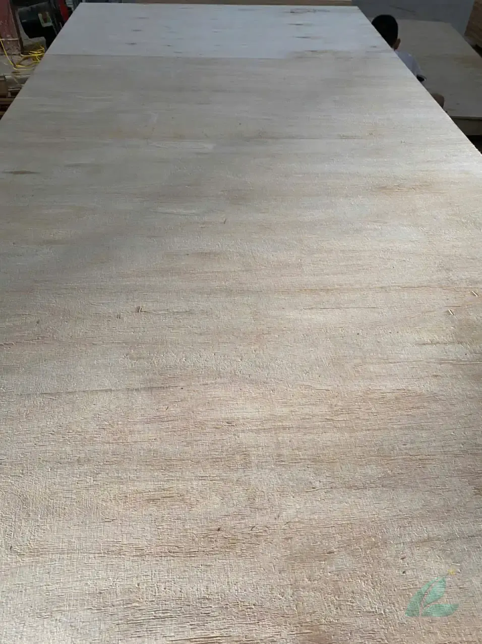 Matt plywood Vietnam export quality hcply 012