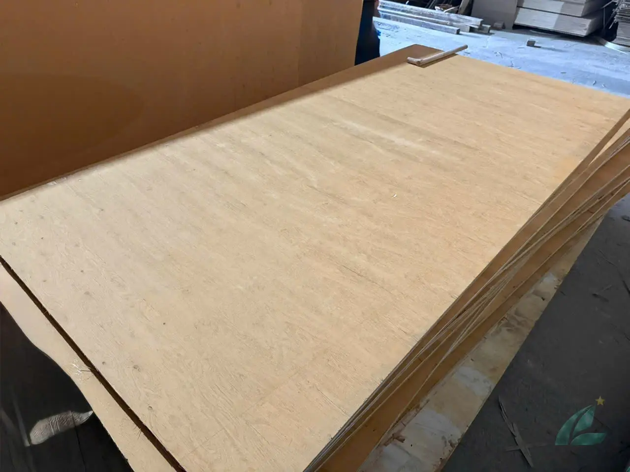 Matt plywood Vietnam export quality hcply 013