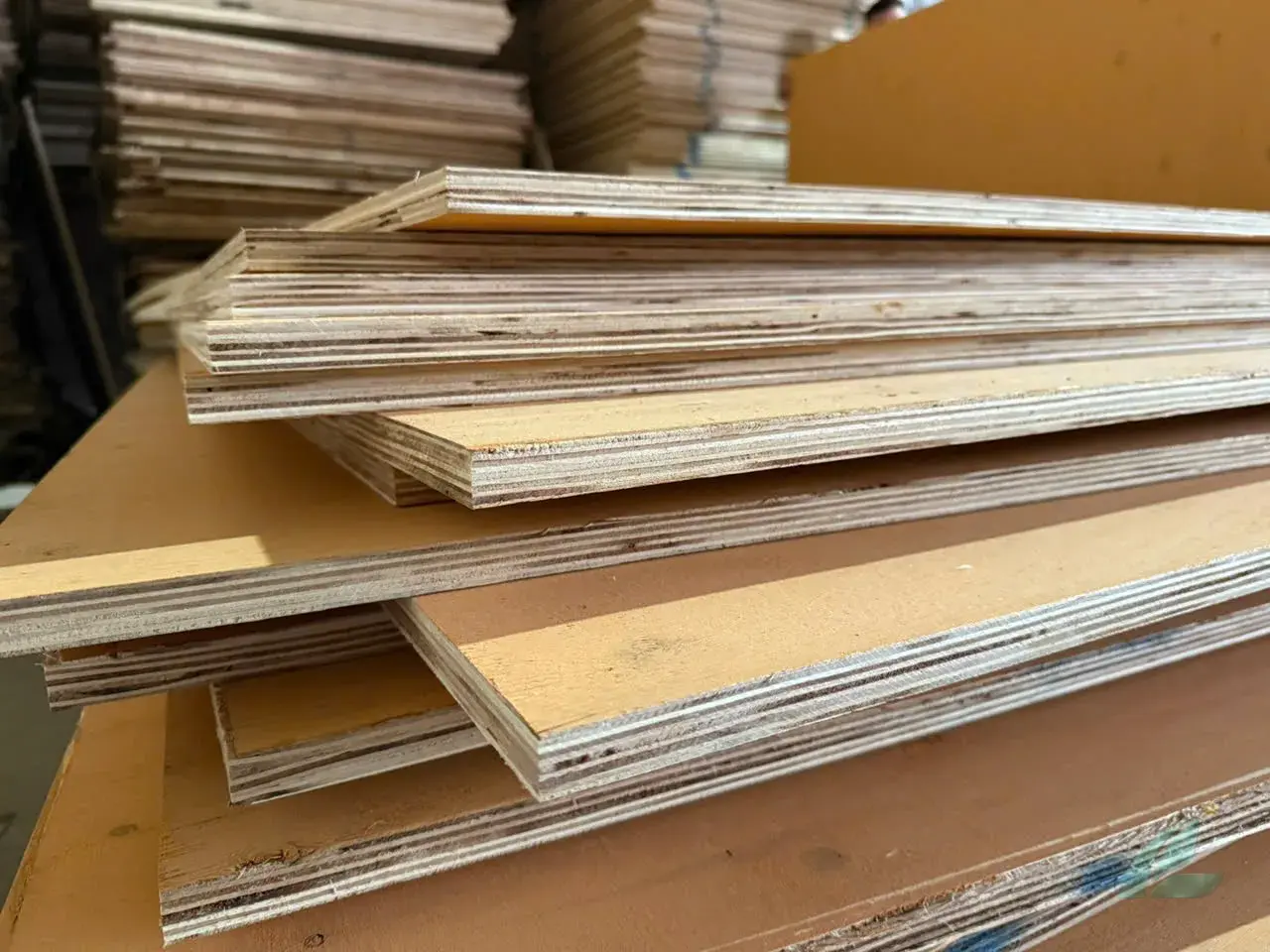 international buyers inspect matt plywood panels at vietnam plywood factory hcply