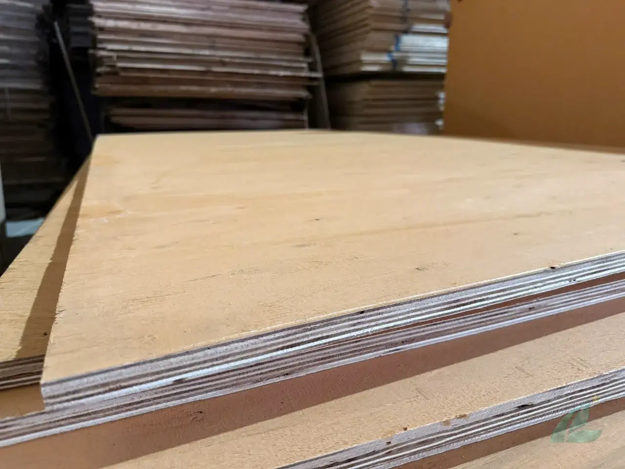 Matt plywood Vietnam export quality hcply 016