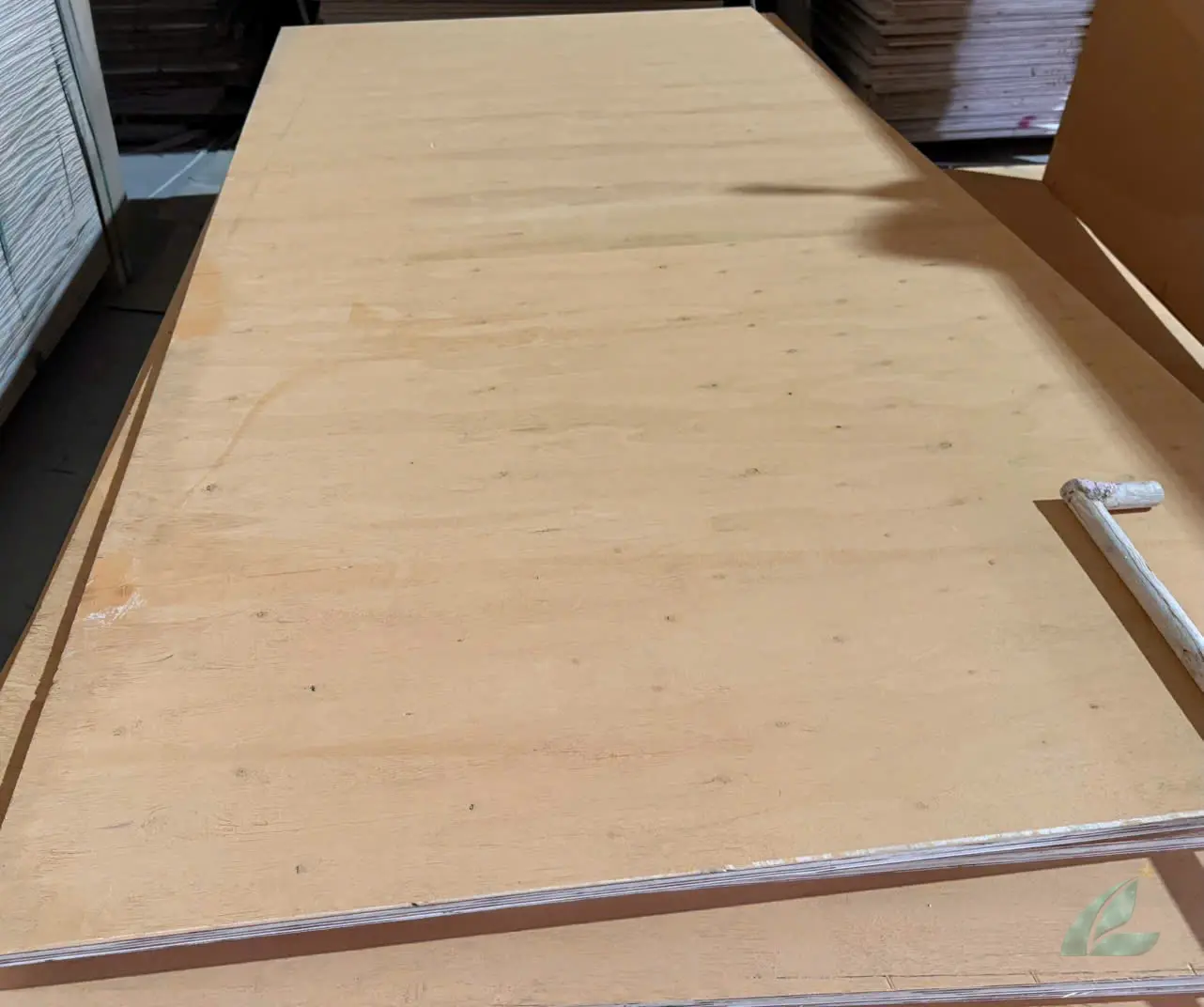 Matt plywood Vietnam export quality hcply 017