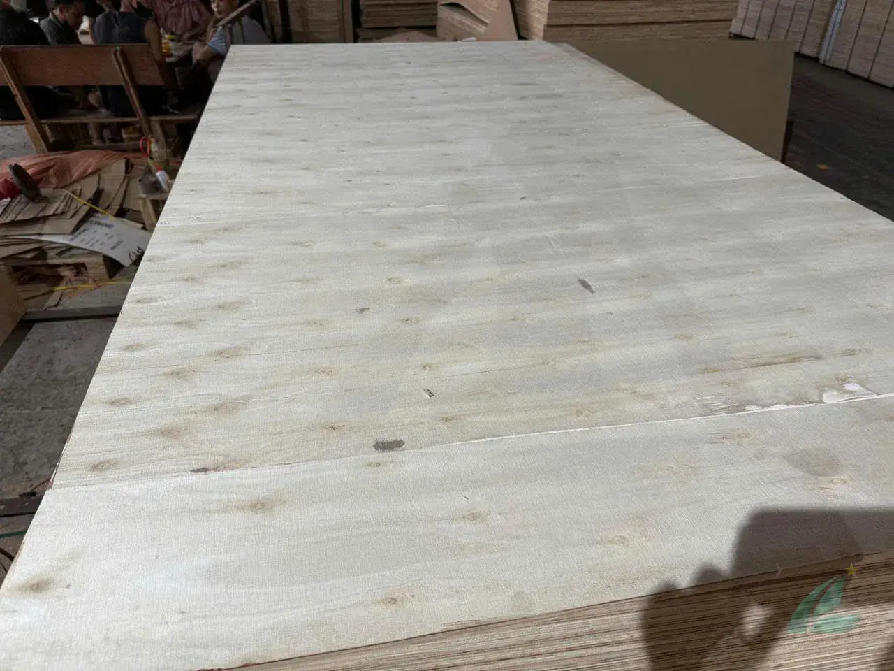 Matt plywood Vietnam export quality hcply 018