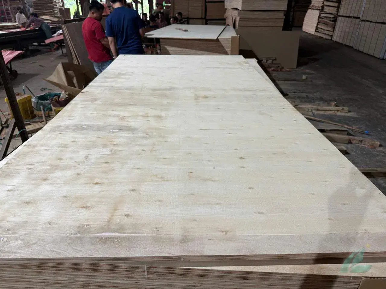 Matt plywood Vietnam export quality hcply 019