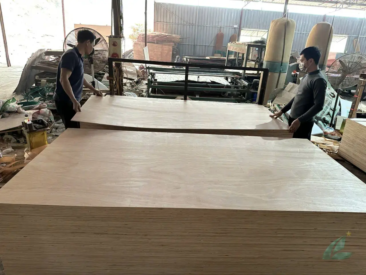 Okoume Plywood vietnam plywood export hcply