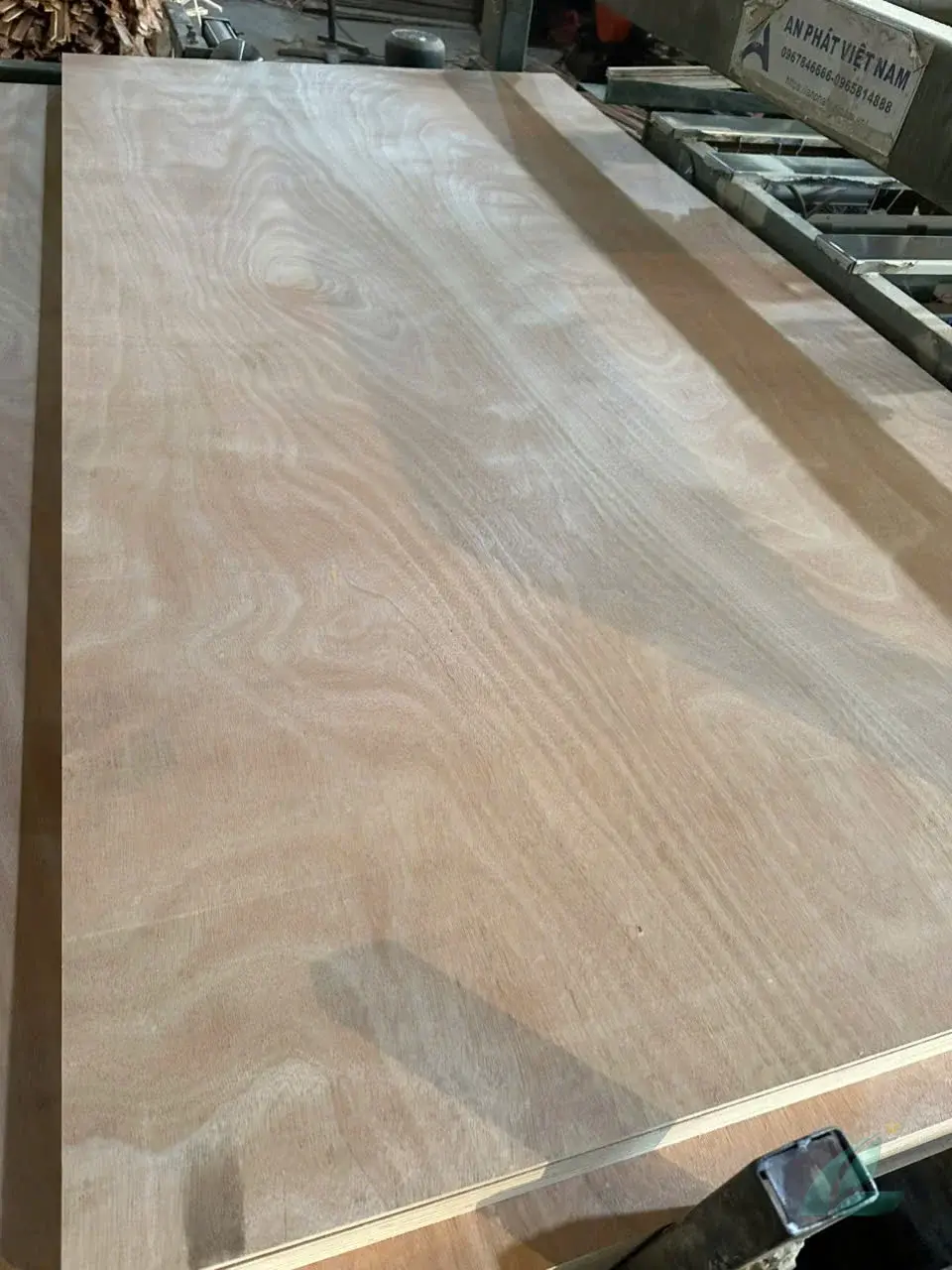 Okoume Plywood vietnam plywood furniture hcply