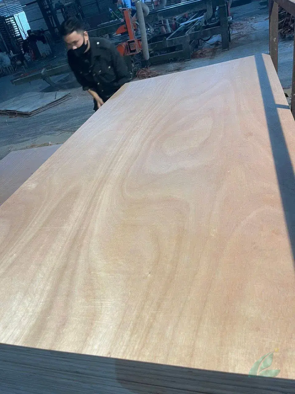 marine grade plywood vietnam okoume face WBP phenolic export hcply
