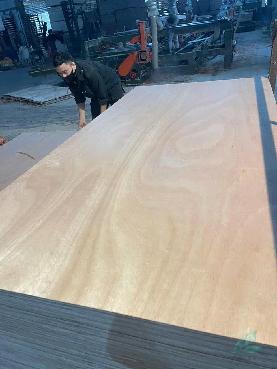 Okoume plywood veneer face — Vietnam export grade face veneer HCPLY factory