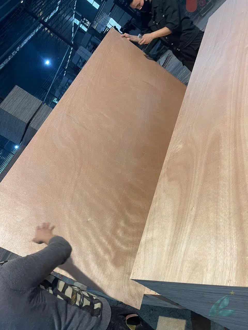 okoume veneer plywood panel showing smooth light-pink face ready for finishing hcply vietnam