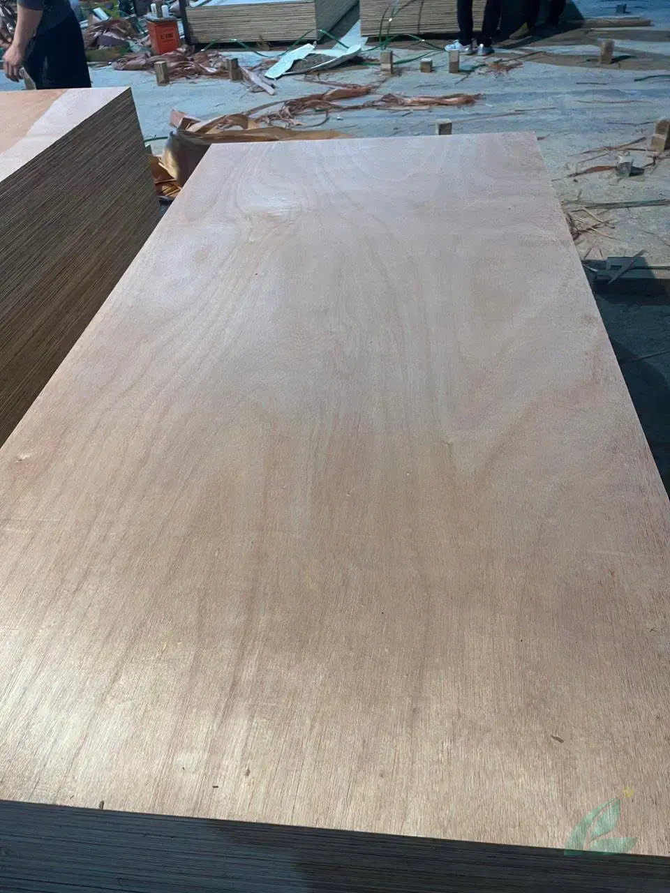Okoume vs birch plywood vietnam comparison strength durability price HCPLY
