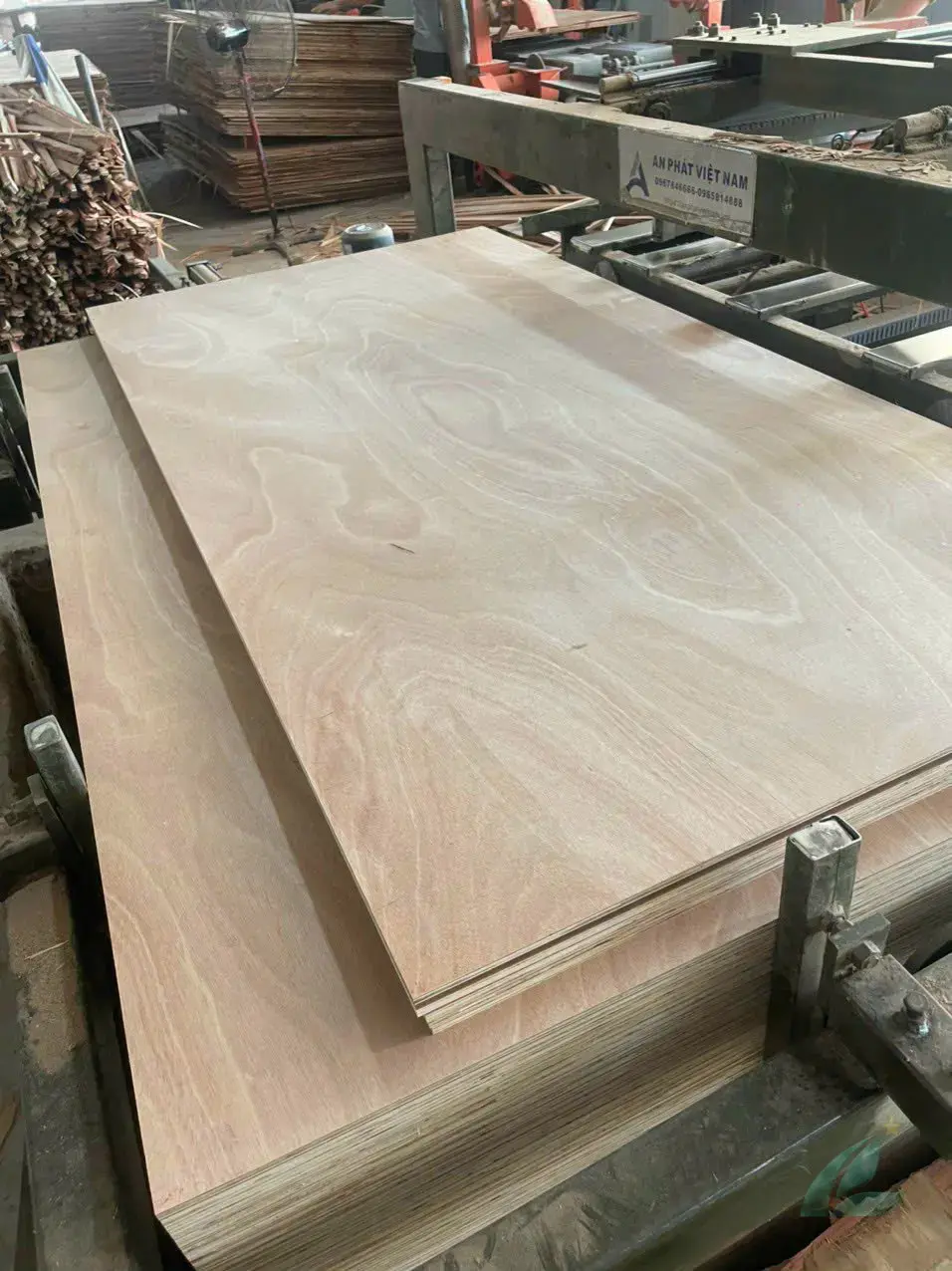 marine plywood applications outdoor water-resistant WBP phenolic grade export vietnam hcply