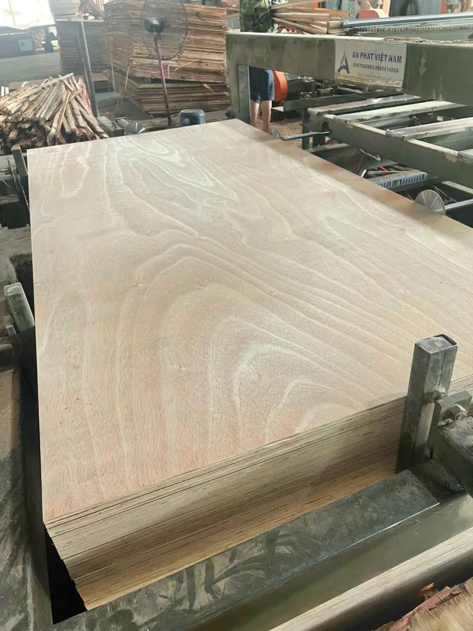 okoume plywood vietnam export panel lightweight marine boat building hcply