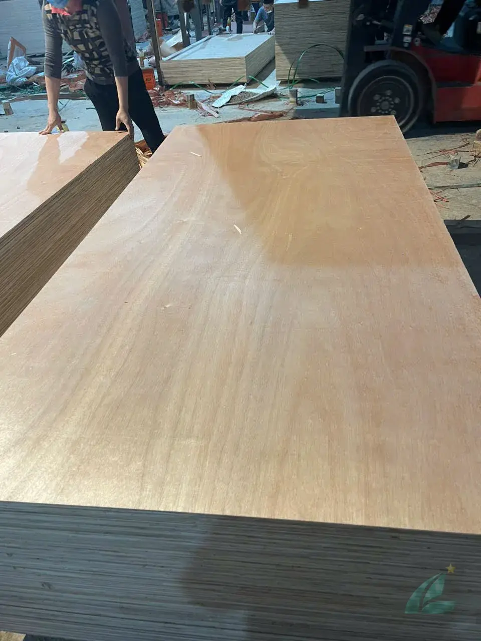 okoume face plywood vietnam export lightweight panel hcply factory direct