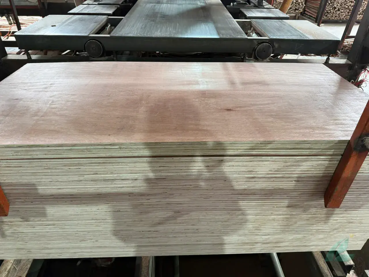 Packing Plywood vietnam plywood export hcply