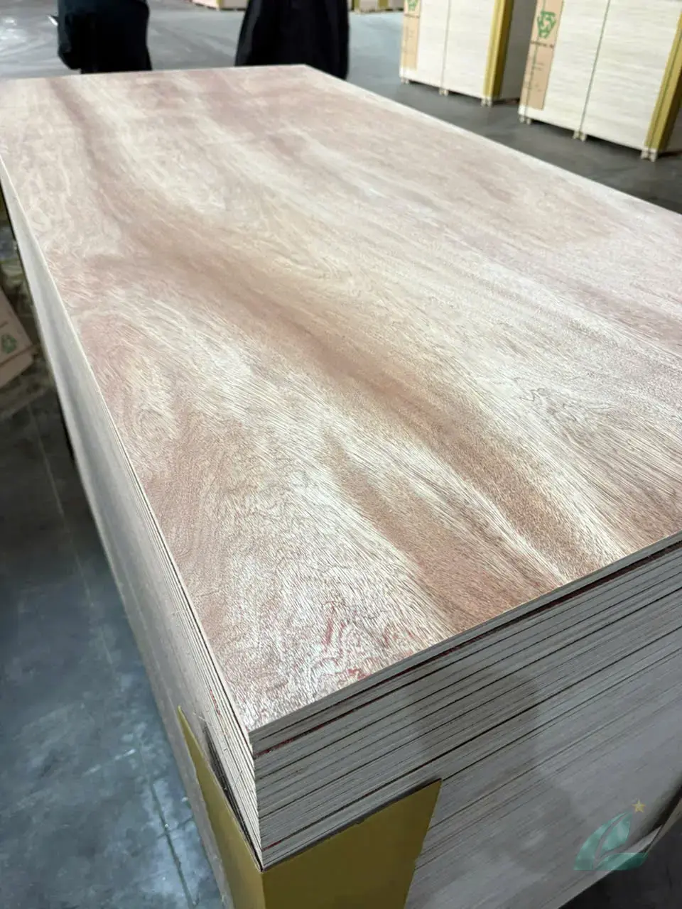 Packing Plywood vietnam plywood furniture hcply