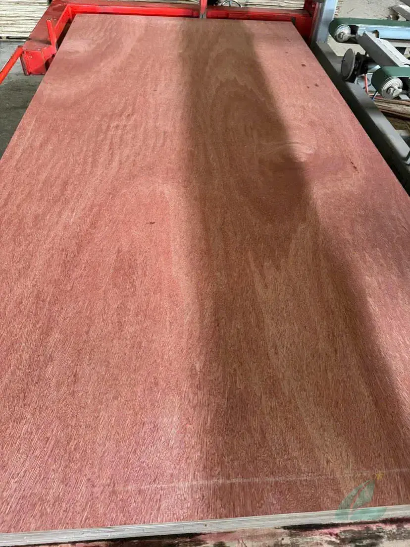 packing plywood low cost unsanded stacked HCPLY factory Vietnam ready for container loading