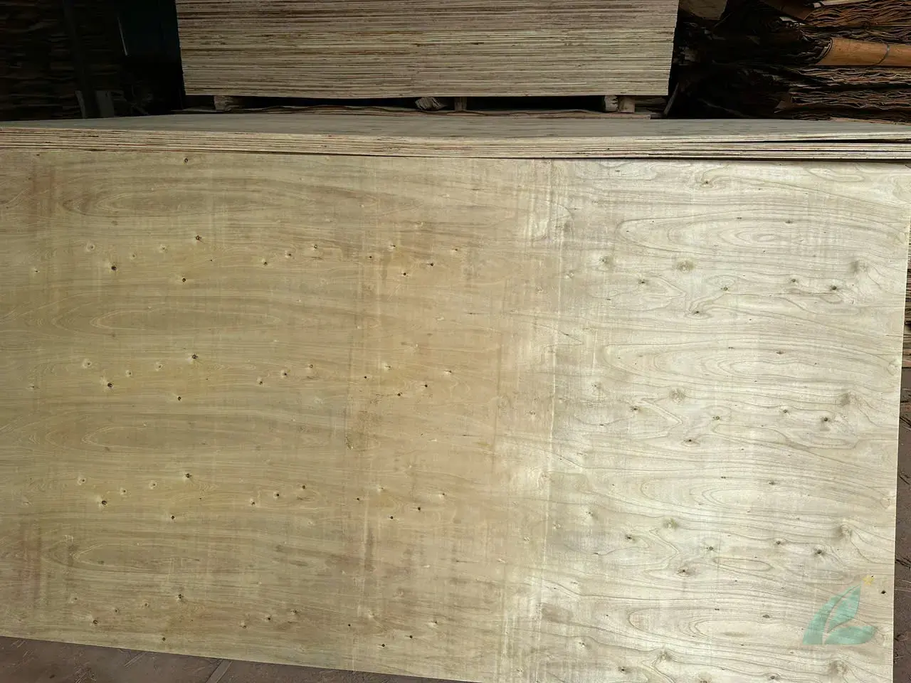 Packing plywood Vietnam export grade industrial panels HCPLY factory direct