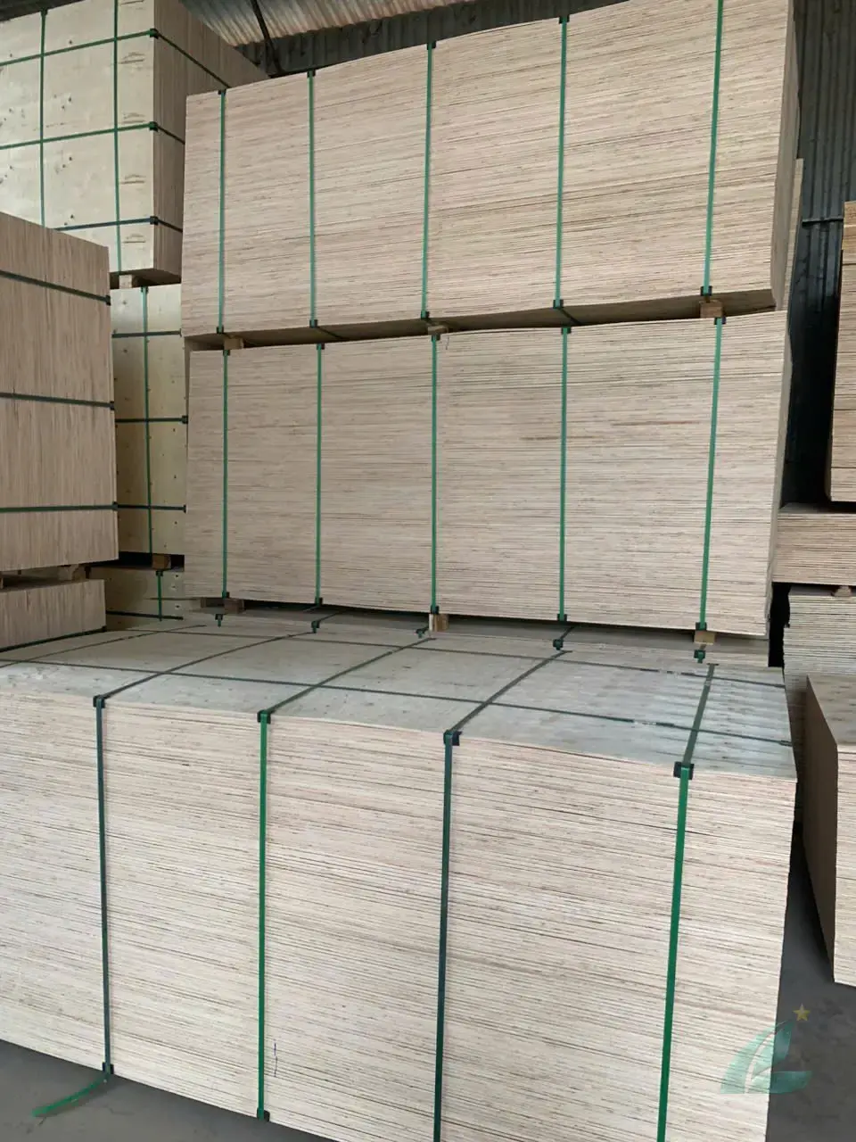 Packing plywood Vietnam industrial panels HCPLY export grade