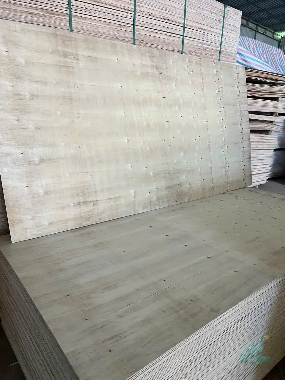 Packing plywood stacked pallets ready for export container loading Vietnam HCPLY